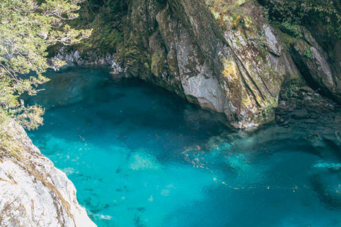 visit the blue pools near wanaka