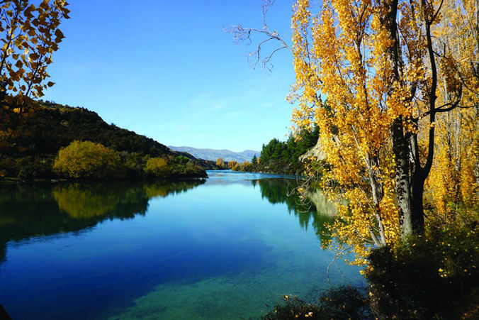 Bike or walk the upper Clutha River track